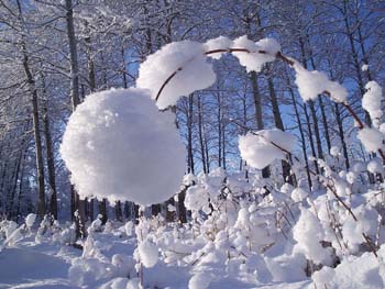 Photo Laval Tremblay