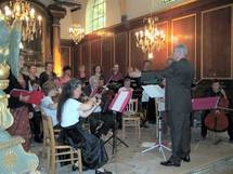 Le vritable 1er violon !