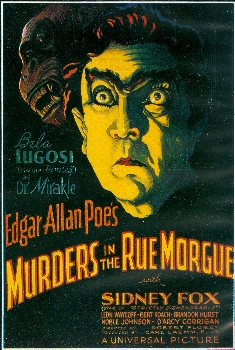 Image adaptation