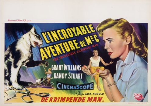 Image adaptation