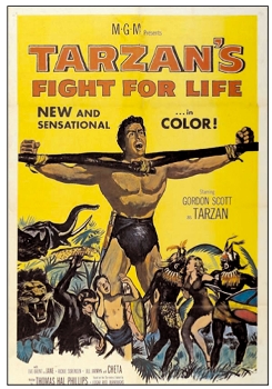 Image adaptation