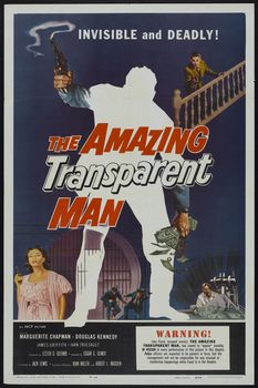 Image adaptation