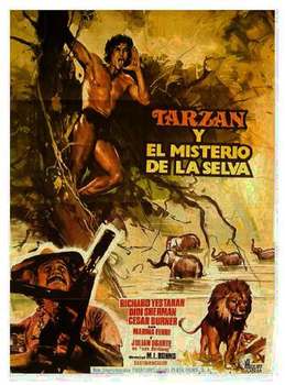 Image adaptation