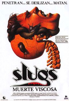 Image adaptation