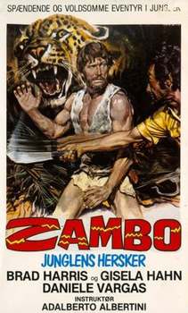 Image adaptation