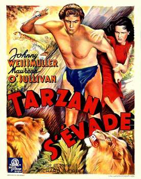 Image adaptation