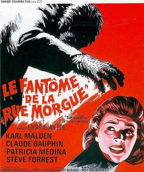 Image adaptation