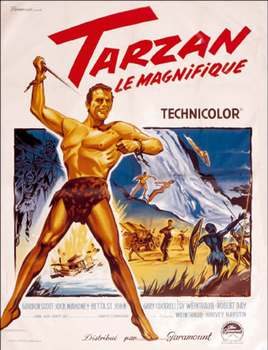Image adaptation