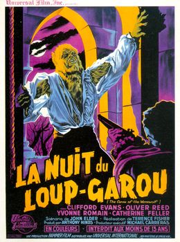 Image adaptation
