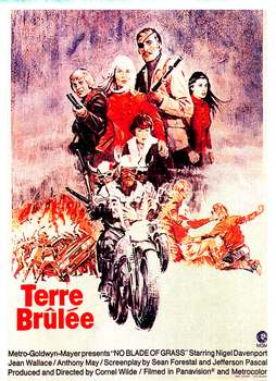 Image adaptation