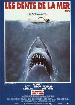 Image adaptation