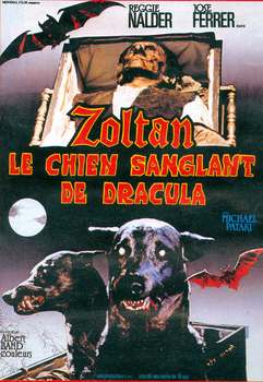 Image adaptation
