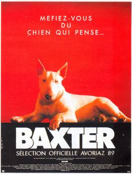 Image adaptation
