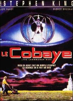 Image adaptation