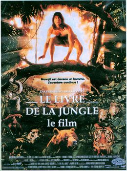 Image adaptation