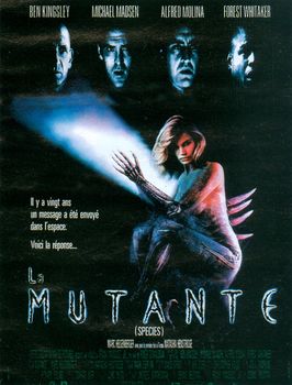 Image adaptation