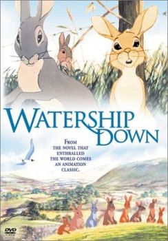 Image adaptation