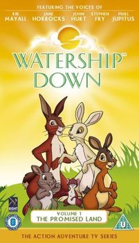 Image adaptation