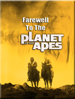 Image adaptation