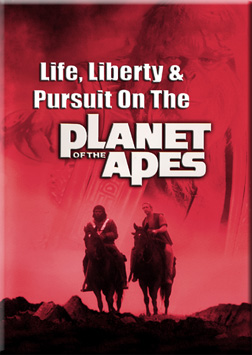 Image adaptation
