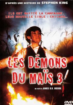 Image adaptation