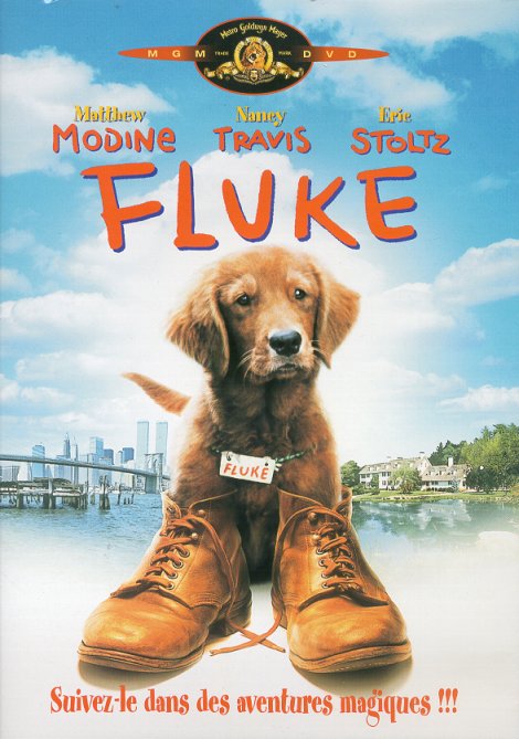 Image adaptation