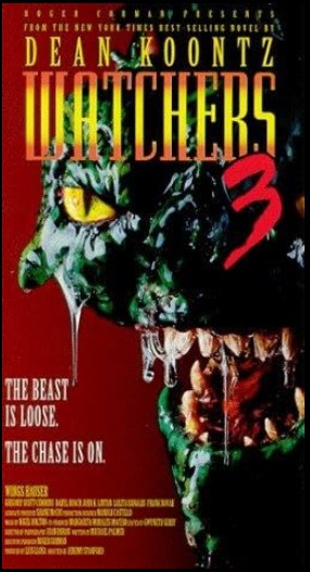 Image adaptation