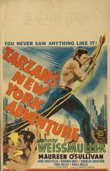 Image adaptation