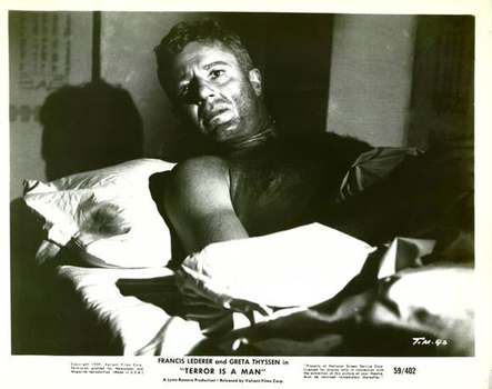 Image adaptation
