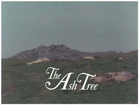Image adaptation