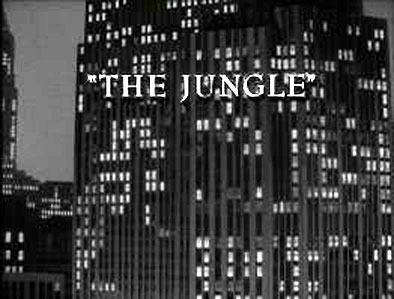Image adaptation