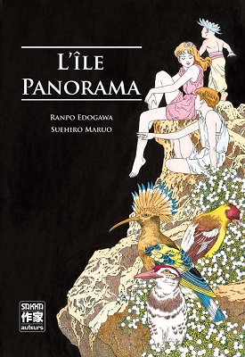 Image adaptation