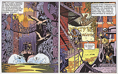 Planche 5, cases 1 et 2